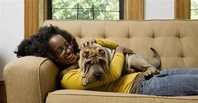 What is Pre-existing Condition for Pet Insurance?