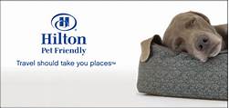 Is the Hilton Pet Friendly?