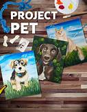 What is a Pet Project?