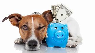 What is Pet Tax Credit