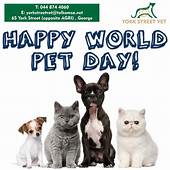 When Is World Pet Day?