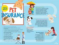 What Does Spot Pet Insurance Cover?