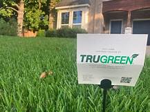 Is TruGreen Pet Safe? A Comprehensive Guide for Pet Owners