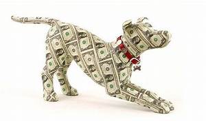 WHAT IS REIMBURSEMENT IN PET INSURANCE?