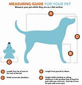 What Does Pet Measure Mean?