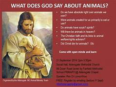 What Does God Say About Pets?