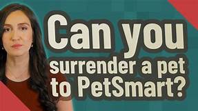 Where Can You Surrender a Pet?