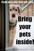 When to Bring Pets Inside