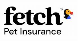 What Does Fetch Pet Insurance Cover?