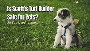 Is Scotts Turf Builder Safe for Pets?