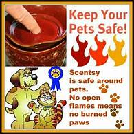 Is Scentsy Pet Safe?