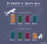 What Pets Are Allowed at Hogwarts?