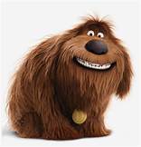 What Breed is Duke from The Secret Life of Pets?