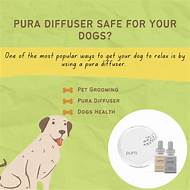 Is Pura Pet Safe?