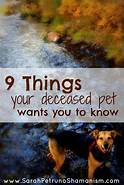 Where to Take Deceased Pet