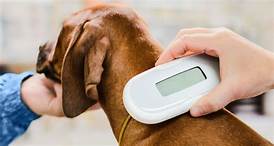 What is a Pet Microchip?