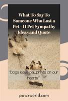 What to Say When Someone Lost a Pet