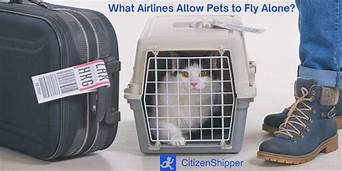 What Airlines Ship Pets?