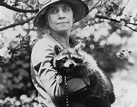 What President Had a Pet Raccoon?