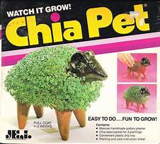 What Was the Original Chia Pet?