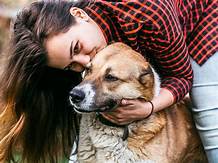 What Pet Is Best for Mental Health?