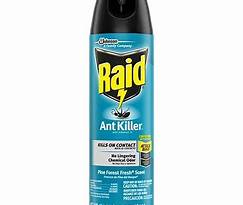 Is Raid Ant Killer Safe for Pets?