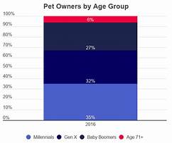 Where to Watch Pets: A Guide for Pet Owners