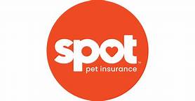 Who Accepts Spot Pet Insurance?