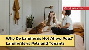 Why Do Landlords Not Allow Pets?