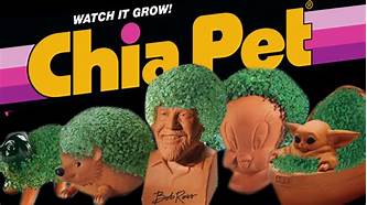 Where to Buy Chia Pets Near Me: Complete Guide to Chia Pets