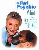 What Is a Pet Psychic?