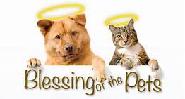 What is a Pet Blessing?