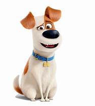 What Dog is Max from Secret Life of Pets?