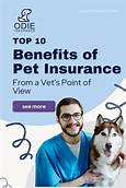 Is There Pet Health Insurance?