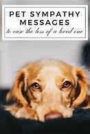 What to Say in a Card When a Pet Dies