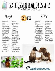 What Essential Oils Are Toxic to Pets?