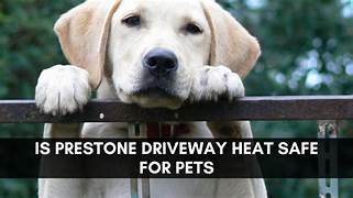 Is Prestone Driveway Heat Safe for Pets?