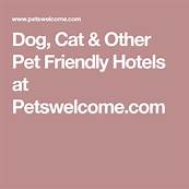 What Motels Accept Pets