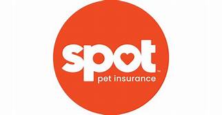 Is Spot Pet Insurance Good Reddit: A Comprehensive Review