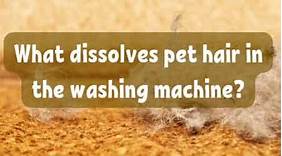 What Dissolves Pet Hair in the Washing Machine