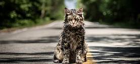 Where is Pet Sematary Set?