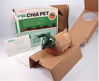 What was the First Chia Pet?