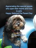 When is Pet Parents Day?