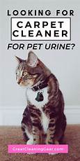 What Is the Best Carpet Shampooer for Pet Urine?