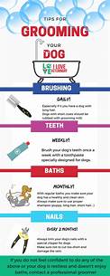 What the Fluff: Pet Grooming Tips and Tricks